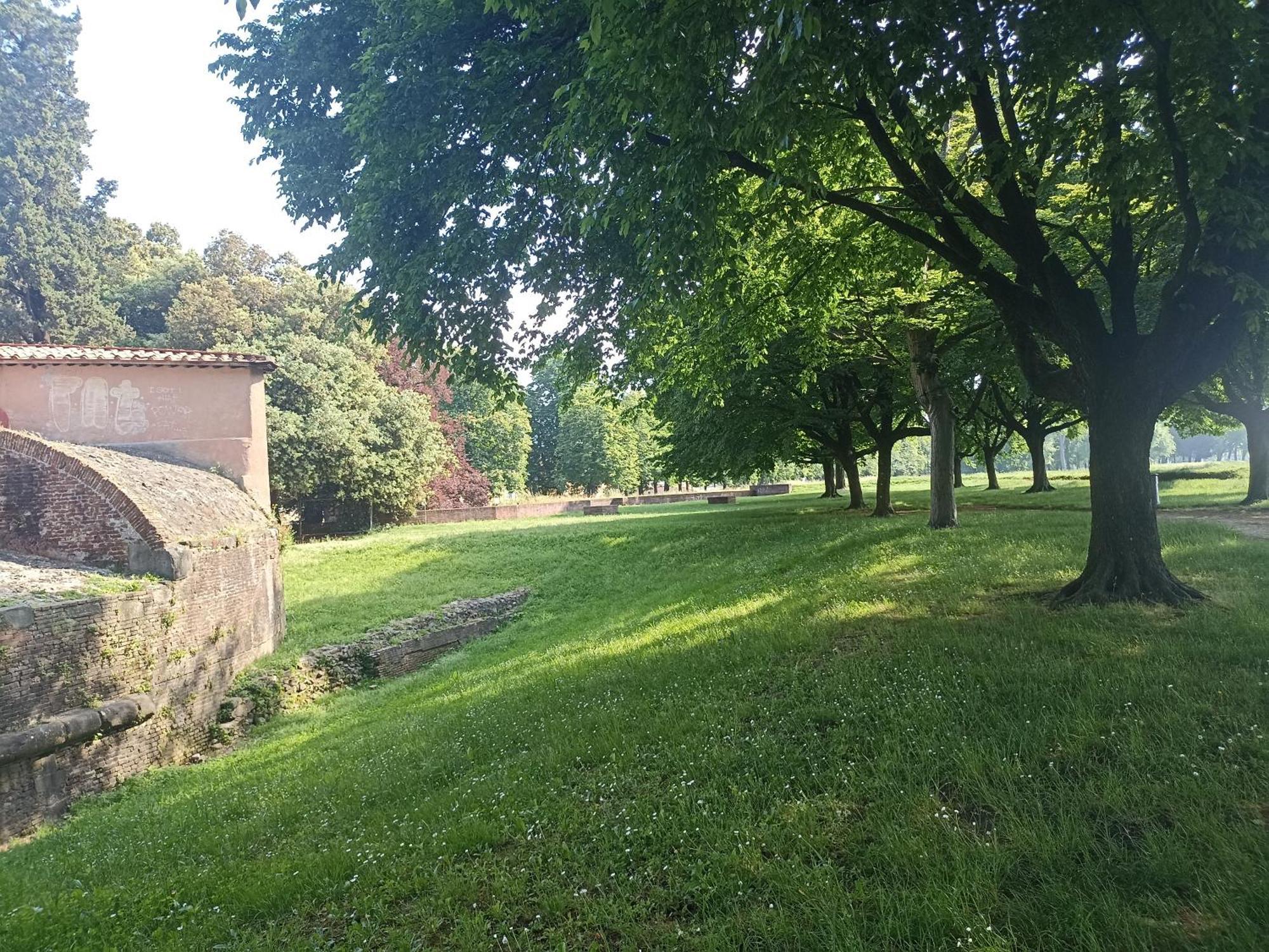 Gem In The City Center Of Lucca With Air Conditioning - Exclusive Ground Floor House Inside The Walls Close To Botanical Garden And Piazza San Martino Villa Exterior foto